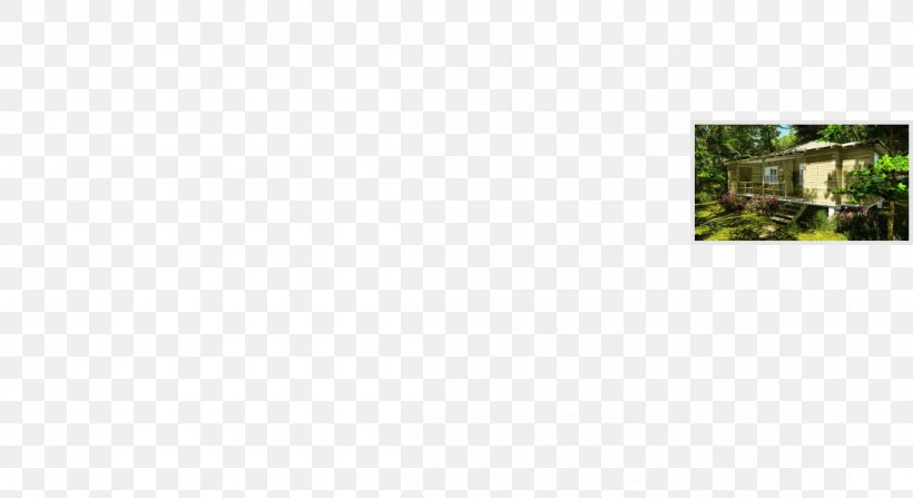 Rectangle, PNG, 1100x600px, Rectangle, Grass, Plant, Tree Download Free