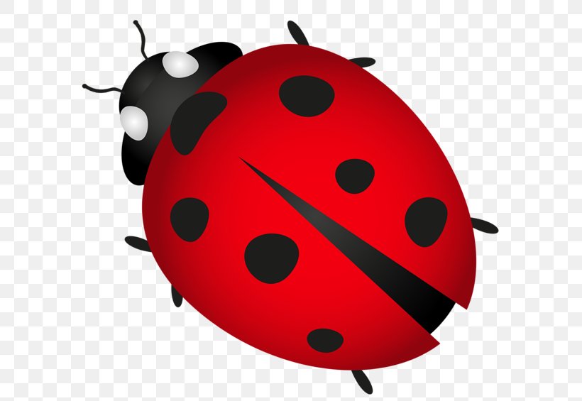Ladybird Beetle Clip Art, PNG, 600x565px, Ladybird Beetle, Art, Arthropod, Beetle, Drawing Download Free