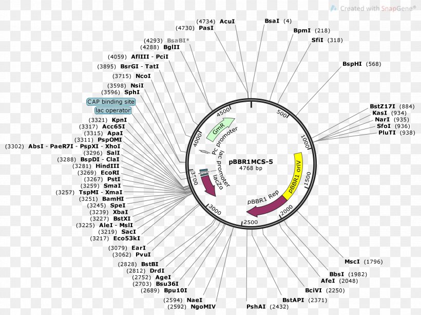 Plasmid DNA Cosmid Electrophoresis Genetics, PNG, 3466x2595px, Plasmid, Area, Brand, Diagram, Discussion Download Free