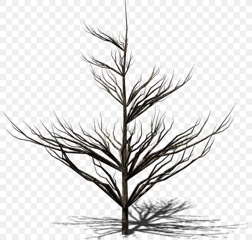 Image Painting Tree Drawing, PNG, 800x780px, Painting, Art, Black And White, Branch, Cartoon Download Free