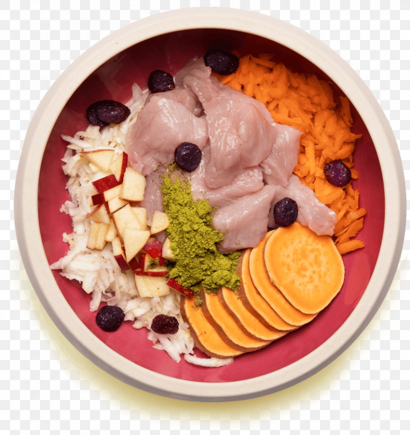 Dog Frozen Yogurt Vegetarian Cuisine Raw Feeding Turkey, PNG, 850x902px, Dog, Breakfast, Cuisine, Dairy Product, Dessert Download Free
