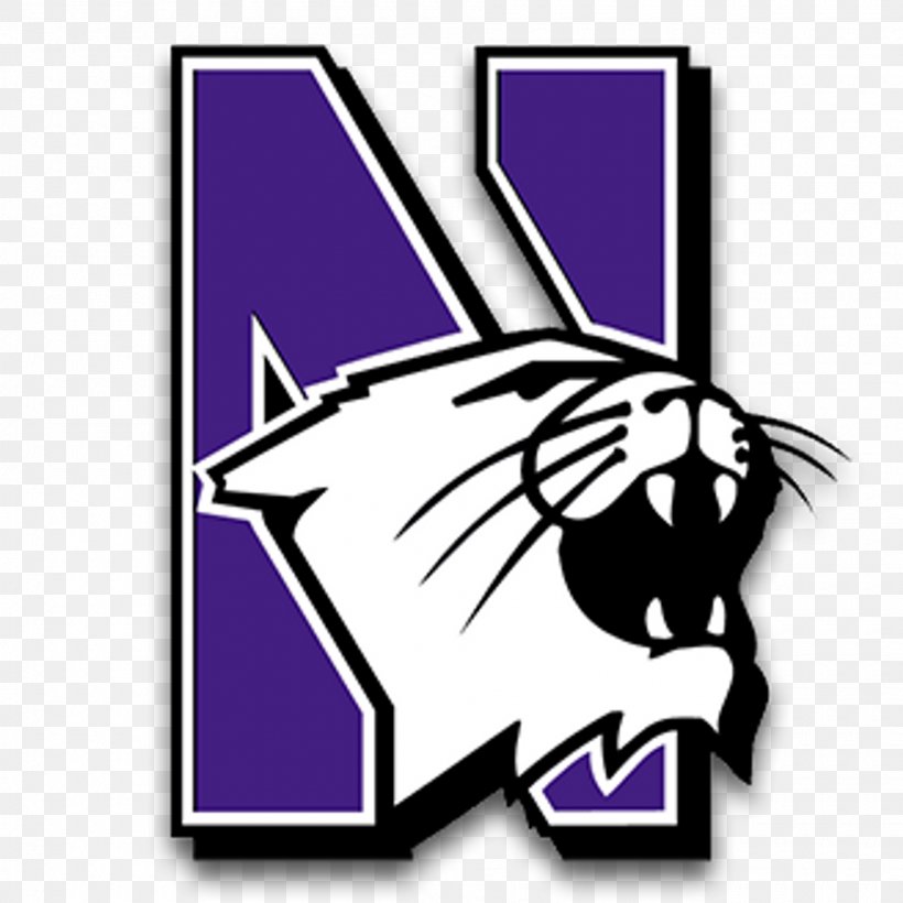Northwestern Wildcats Football Northwestern Wildcats Softball NCAA Division I Football Bowl Subdivision American Football Penn State Nittany Lions Football, PNG, 1920x1920px, Northwestern Wildcats Football, American Football, Cartoon, Cat, College Football Download Free