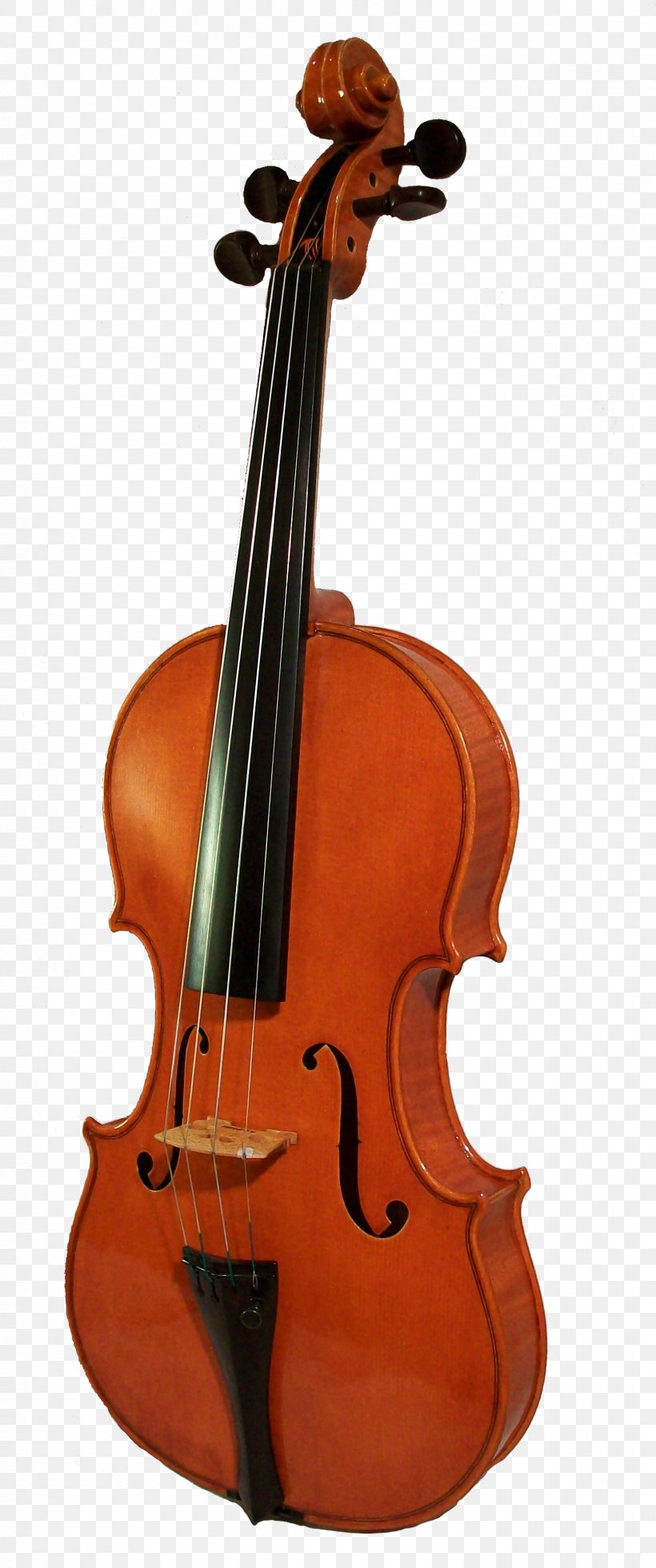 Violin Cello Musical Instrument, PNG, 1451x3467px, Violin, Acoustic Guitar, Bass Violin, Bow, Bowed String Instrument Download Free