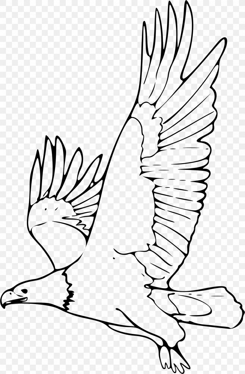 Bald Eagle Drawing Clip Art, PNG, 1402x2140px, Bald Eagle, Art, Artwork, Beak, Bird Download Free