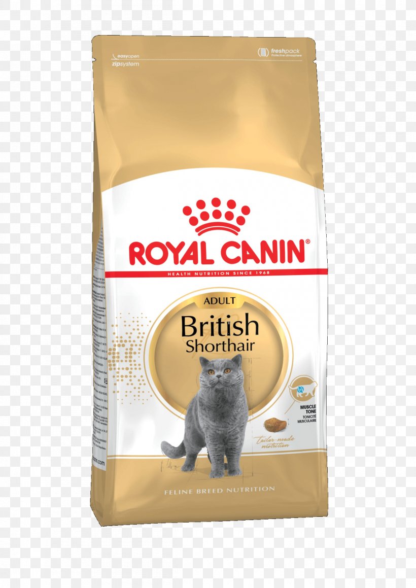 British Shorthair Royal Canin Cat Food British Shorthair Royal Canin Cat Food Persian Cat Dog, PNG, 1200x1697px, British Shorthair, Cat, Cat Food, Dog, Domestic Shorthaired Cat Download Free