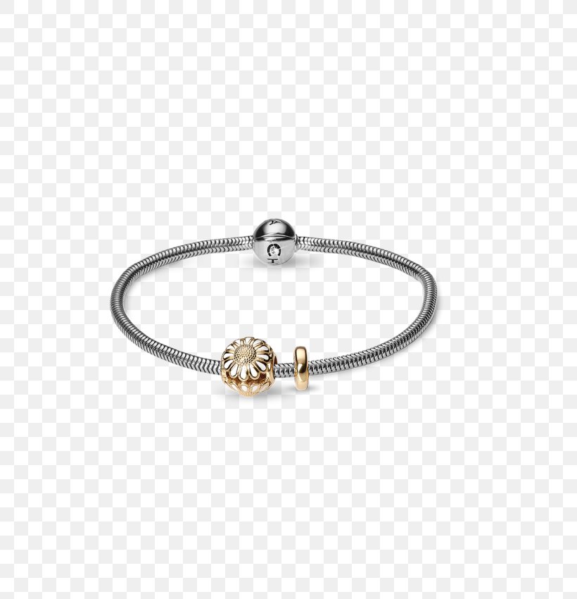 Charm Bracelet Jewellery Silver Bangle, PNG, 700x850px, Bracelet, Arm Ring, Bangle, Body Jewelry, Charm Bracelet Download Free