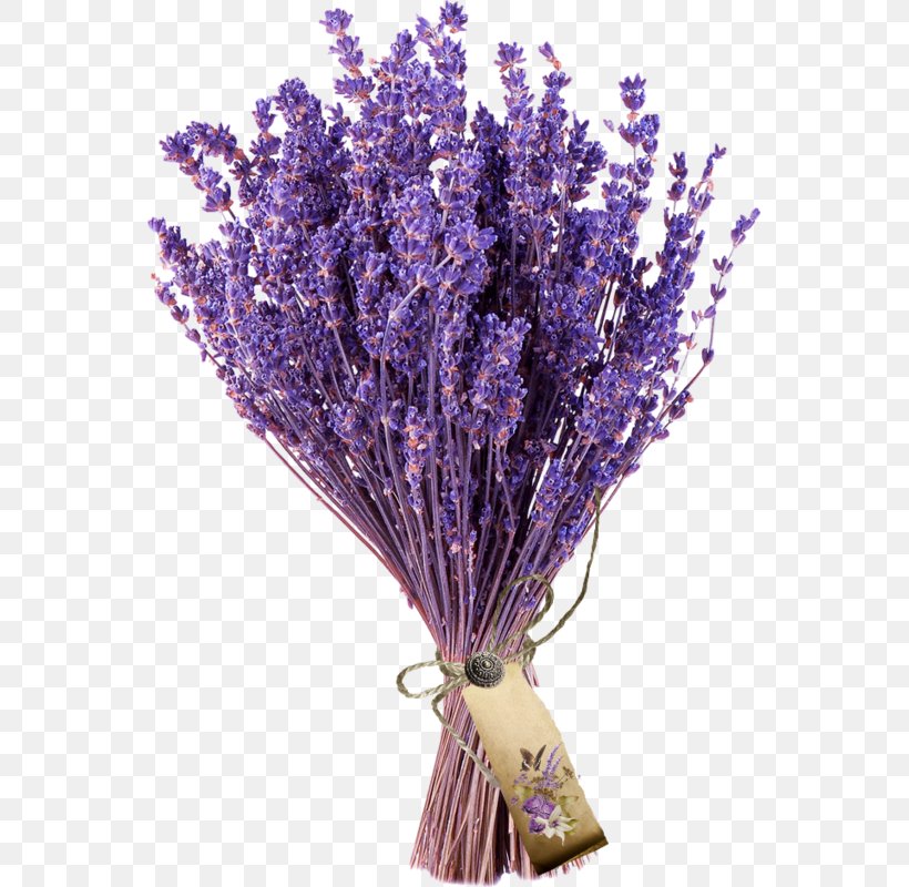 English Lavender Flower Bouquet French Lavender, PNG, 553x800px, English Lavender, Artificial Flower, Cut Flowers, Fit Flovers Ru, Flower Download Free