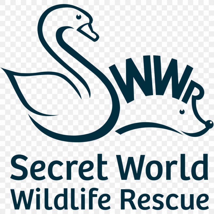 Secret World Wildlife Rescue (open For Animal Admissions Only, See Website For Public Events) East Huntspill Highbridge, PNG, 1000x1000px, Highbridge, Animal, Animal Rescue Group, Animal Welfare, Area Download Free