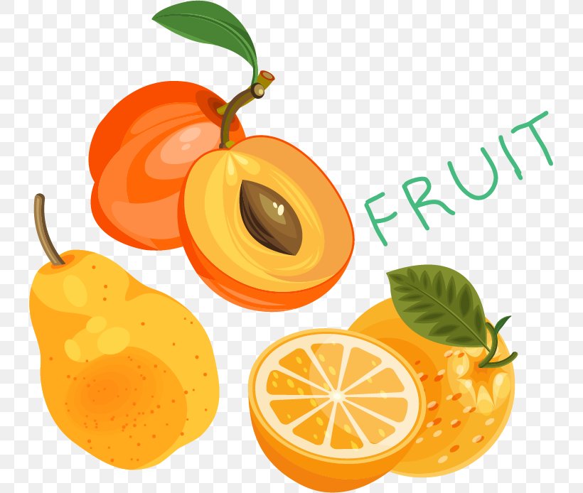 Clementine Mandarin Orange, PNG, 737x694px, Clementine, Artworks, Auglis, Citric Acid, Citrus Download Free