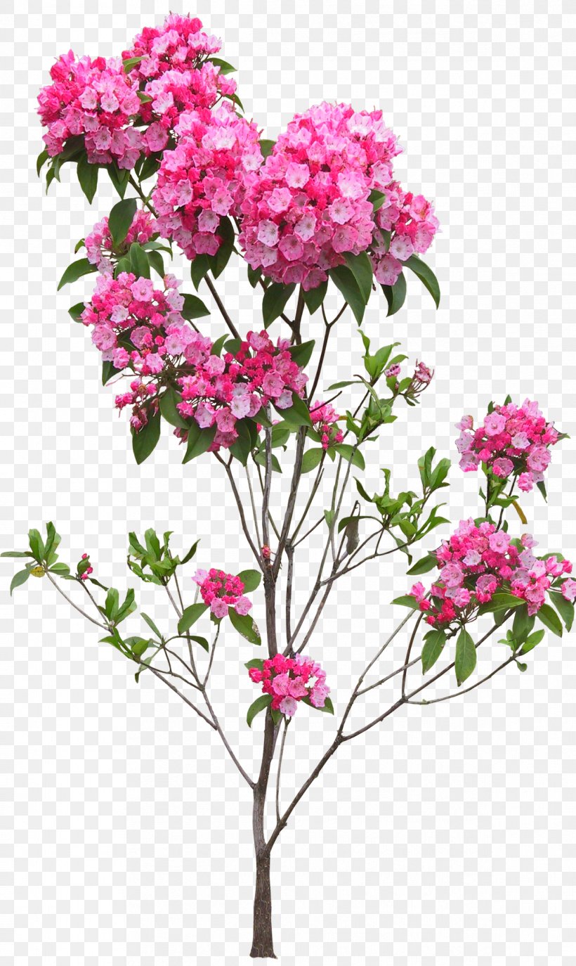 Flower Floral Design, PNG, 1193x2000px, Flower, Blossom, Branch, Cut Flowers, Floral Design Download Free