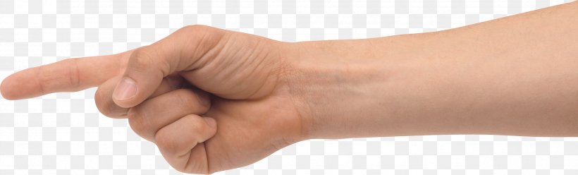Joints Of Hand Definition Arm Thumb, PNG, 2549x771px, Toronto, Arm, Behavior, Canada, Cannabis Download Free
