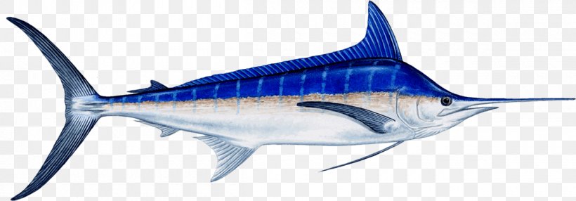Marlin Fishing Atlantic Blue Marlin Recreational Fishing Billfish, PNG, 1200x419px, Marlin Fishing, Animal Figure, Atlantic Blue Marlin, Atlantic Sailfish, Billfish Download Free