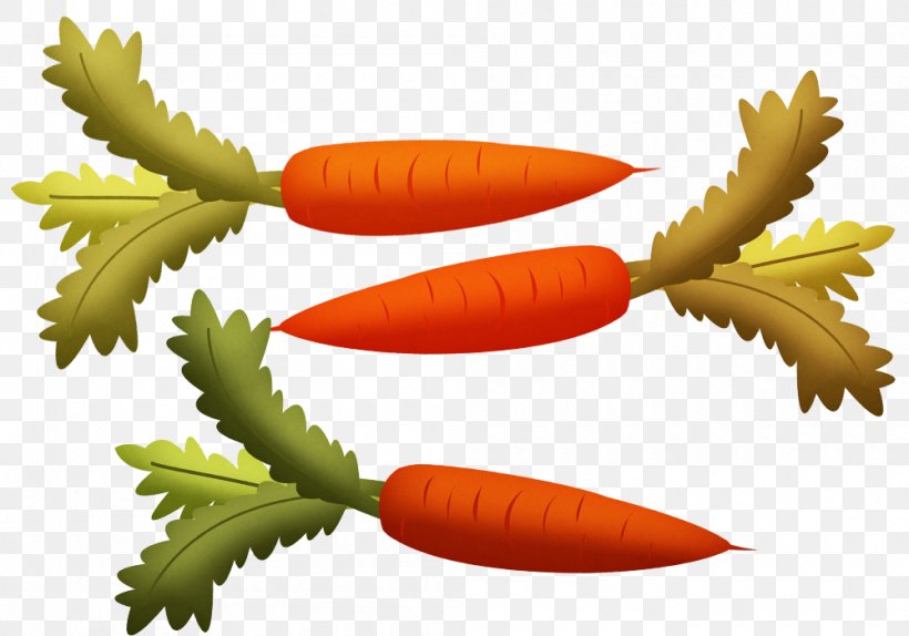 Carrot Euclidean Vector Vegetable, PNG, 1000x700px, Carrot, Carrot Creative, Food, Fruit, Google Images Download Free