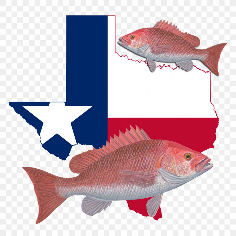 Flag Of Texas Blank Map Clip Art, PNG, 1200x1200px, Texas, Barramundi, Blank Map, Bony Fish, Cod Download Free