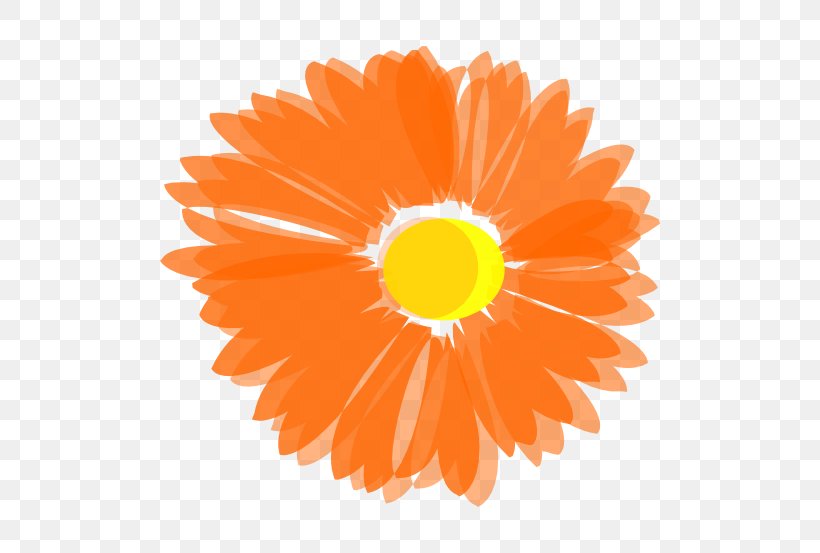 Flower Orange Blossom Clip Art, PNG, 600x553px, Flower, Blossom, Blue, Color, Daisy Family Download Free