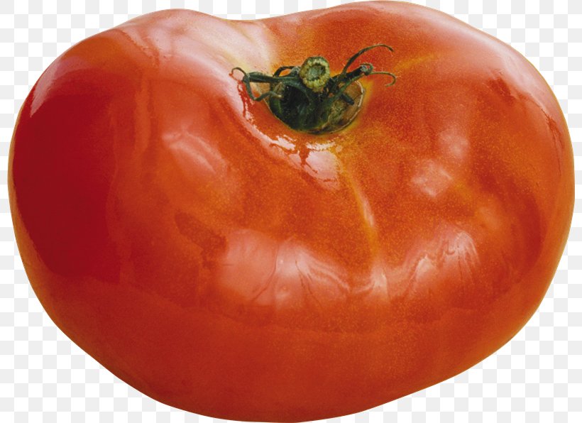 Plum Tomato Piquillo Pepper Bush Tomato Food, PNG, 800x596px, Plum Tomato, Bell Pepper, Bush Tomato, Chili Pepper, Food Download Free