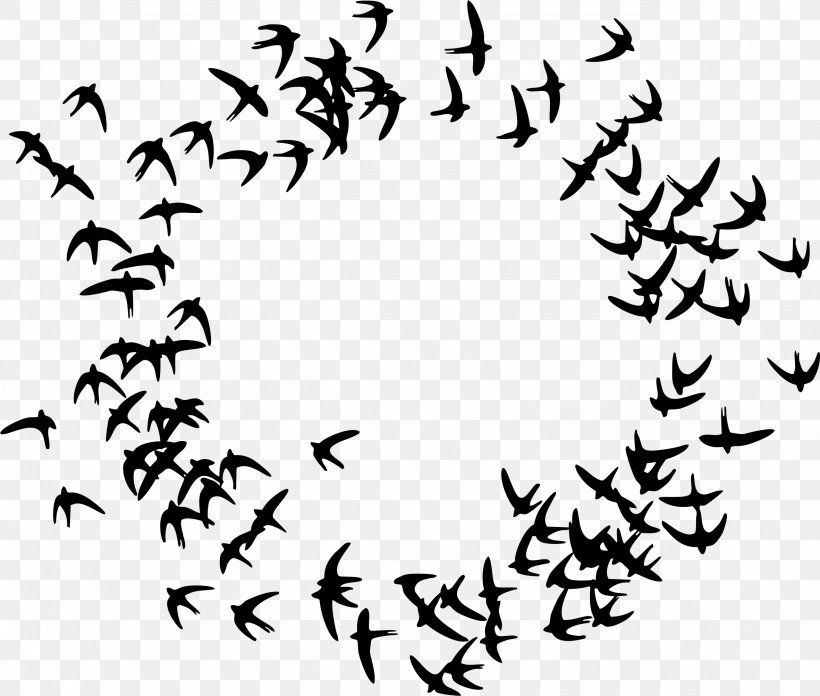 Wall Decal Bird Flock, PNG, 2363x2006px, Wall Decal, Animal Migration, Beak, Bird, Bird Migration Download Free