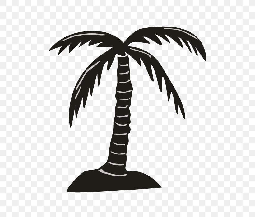 Arecaceae Silhouette Black White, PNG, 696x696px, Arecaceae, Arecales, Black, Black And White, Flowering Plant Download Free