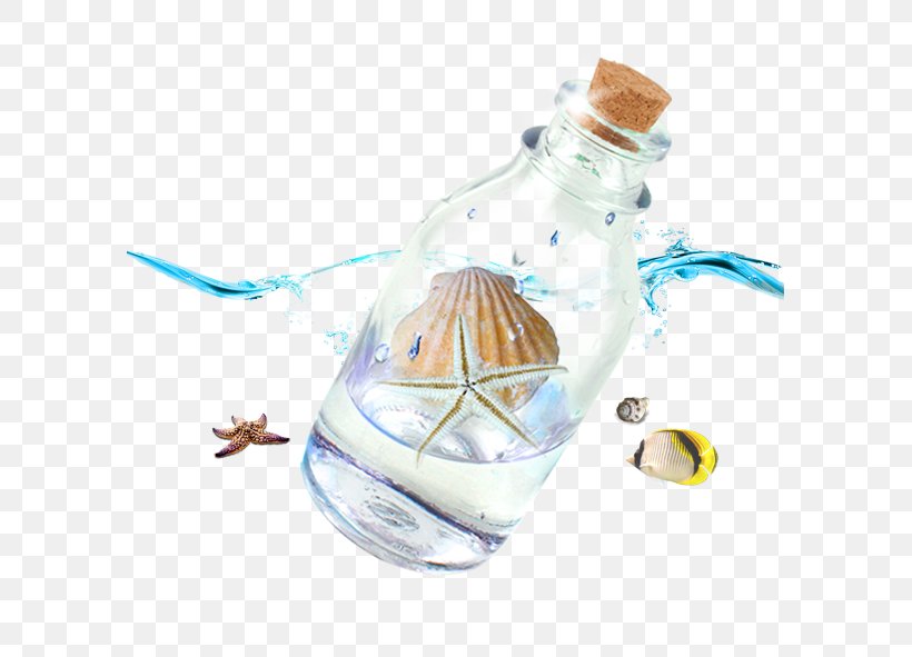 Beach Bottle Seashell, PNG, 591x591px, Beach, Bottle, Cartoon, Creativity, Driftwood Download Free