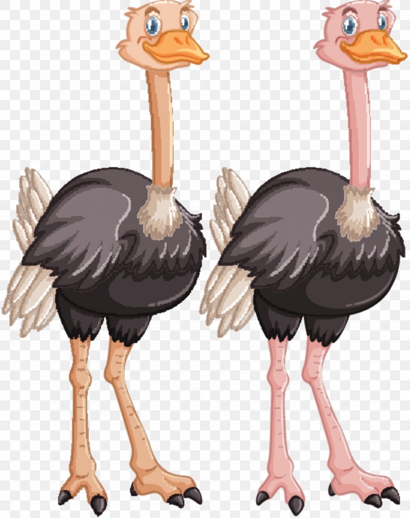Common Ostrich Bird Emu Human Brain, PNG, 1815x2291px, Common Ostrich, Art, Beak, Bird, Brain Download Free