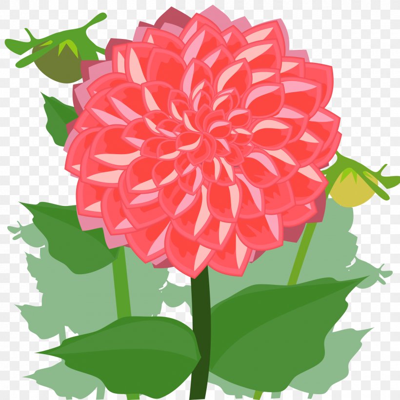 Dahlia Flower Drawing Clip Art, PNG, 2400x2400px, Dahlia, Annual Plant, Color, Cut Flowers, Daisy Family Download Free