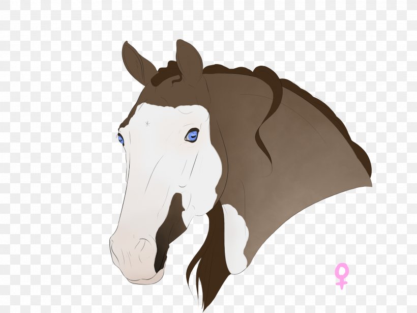 Horse Nose, PNG, 2592x1944px, Horse, Art, Cartoon, Drawing, Ear Download Free