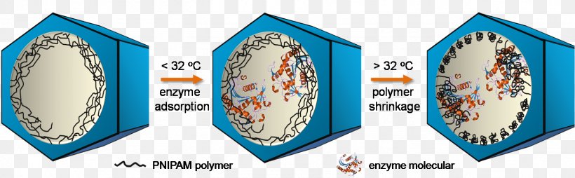 Mesoporous Material Mesoporous Silica Adsorption Enzyme Silicon Dioxide, PNG, 1571x488px, 2017, 2018, Mesoporous Material, Adsorption, Calculation Download Free