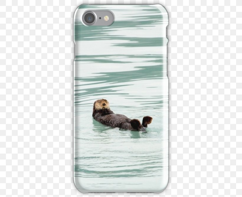 Sea Otter Sea Lion Duck, PNG, 500x667px, Sea Otter, Carnivoran, Duck, Ducks Geese And Swans, Fauna Download Free