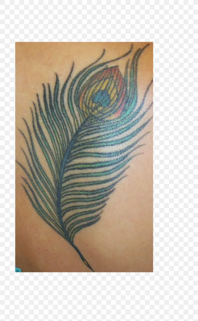 Bird Feather Tattoo Peafowl Arm, PNG, 988x1600px, Bird, Ankle, Arm, Color, Eye Download Free
