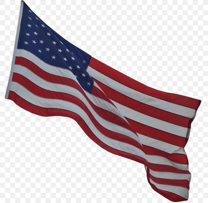 Flag Of The United States Pledge Of Allegiance Flag Day, PNG, 800x800px, Flag Of The United States, Allegiance, Color, Flag, Flag Day Download Free