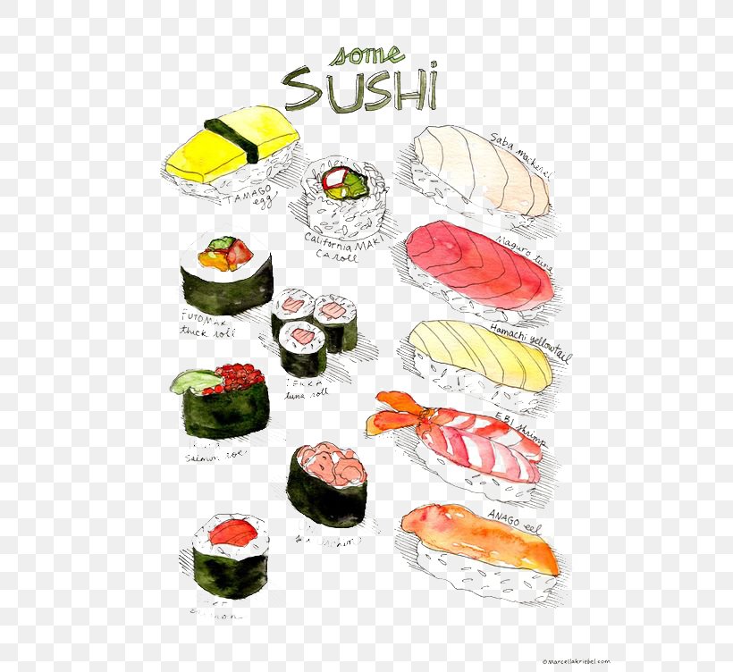 Sushi Makizushi Japanese Cuisine Sake Tamagoyaki, PNG, 564x752px, Sushi, Anago, Asian Food, California Roll, Cuisine Download Free