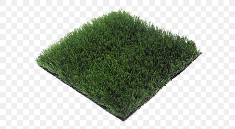 Artificial Turf Lawn Floor Prato Price, PNG, 600x450px, Artificial Turf, Carpet, Evergreen, Floor, Furniture Download Free