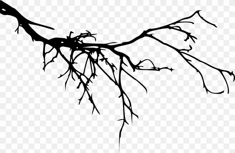 Branch Tree Silhouette Image, PNG, 1200x780px, Branch, Art, Blackandwhite, Botany, Drawing Download Free