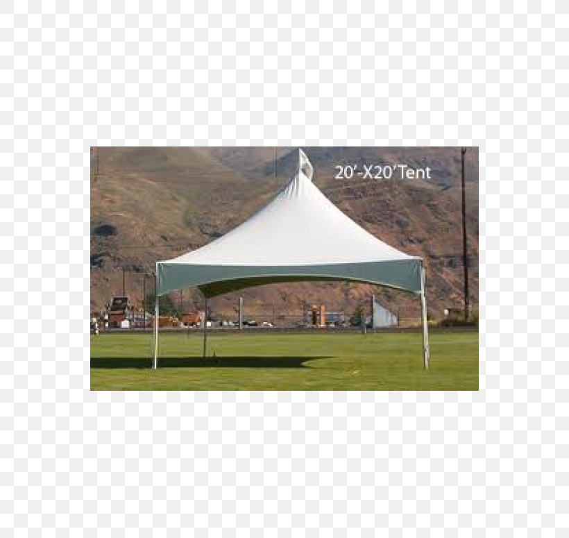 Canopy Shade Gazebo Roof Land Lot, PNG, 560x775px, Canopy, Gazebo, Grass, Land Lot, Outdoor Structure Download Free