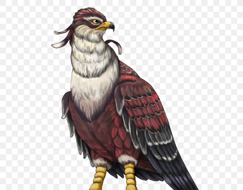 Eagle Owl Hawk Beak Feather, PNG, 640x640px, Eagle, Accipitriformes, Beak, Bird, Bird Of Prey Download Free