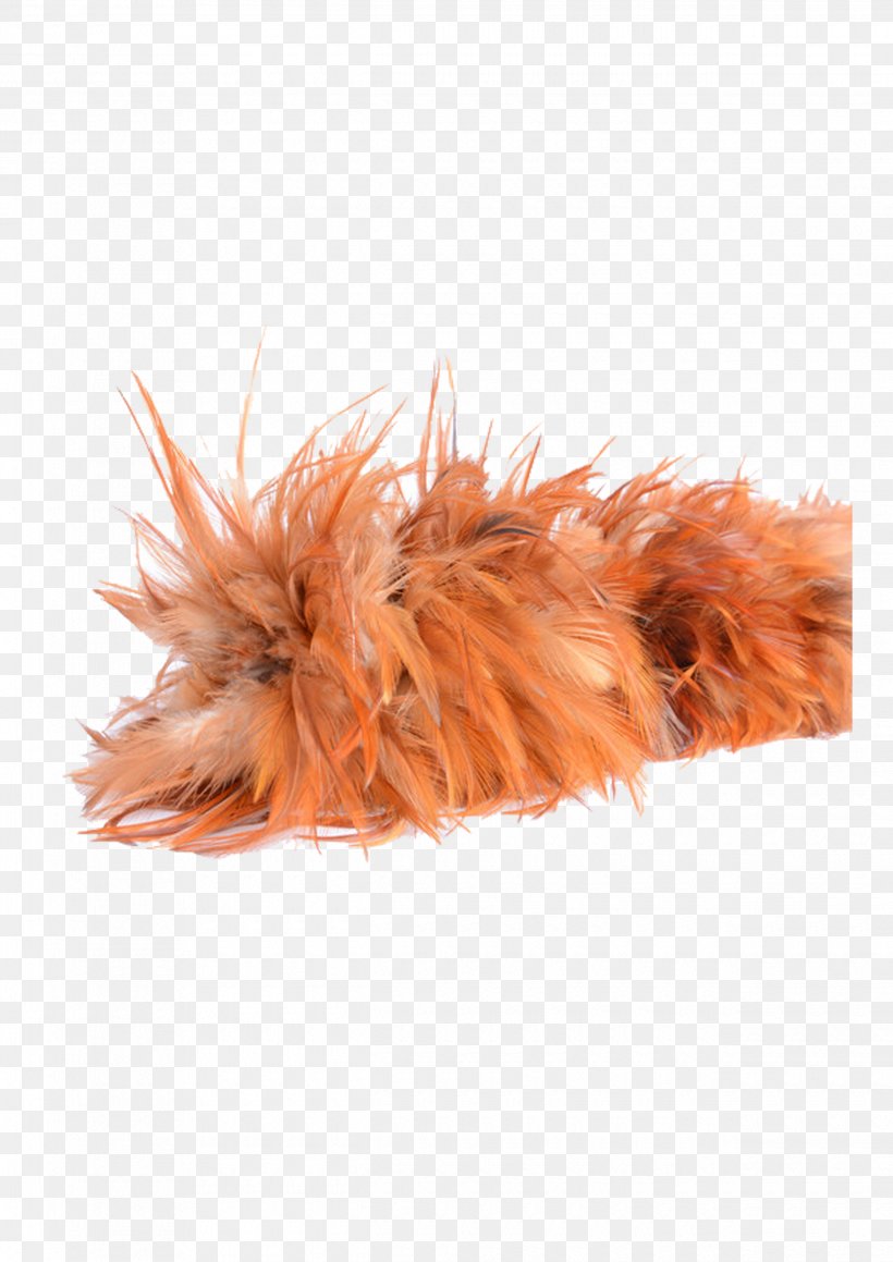 Feather Duster Cleaning, PNG, 2480x3508px, Feather Duster, Animation, Cleaning, Dust, Feather Download Free