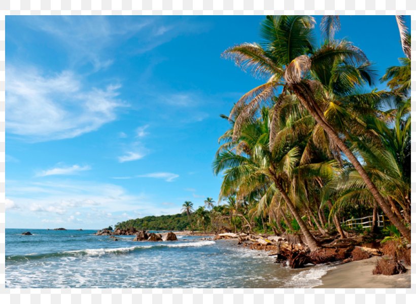 Gatun Lake Panama City Meteorology Caribbean Beach, PNG, 800x600px, Panama City, Arecaceae, Arecales, Bay, Beach Download Free
