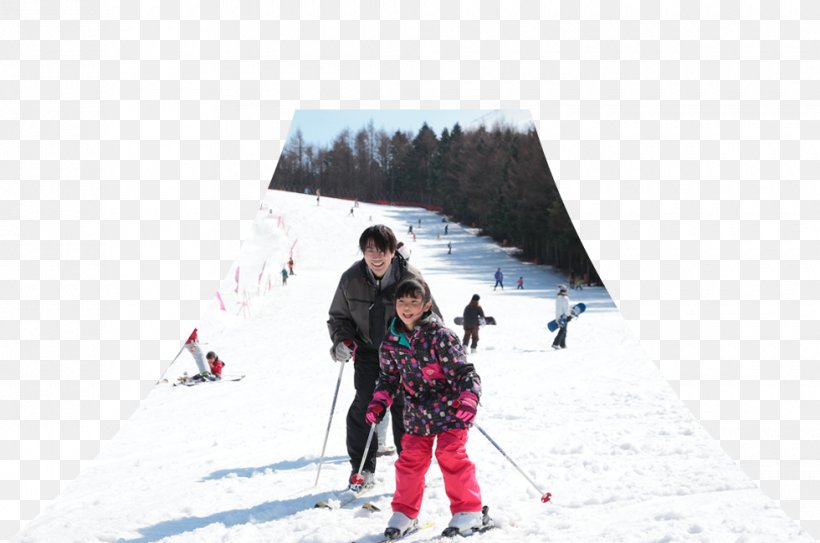 Ski Mountaineering Ski Bindings Alpine Skiing Ski Poles, PNG, 980x650px, Ski Mountaineering, Adventure, Alpine Skiing, Arctic, Footwear Download Free