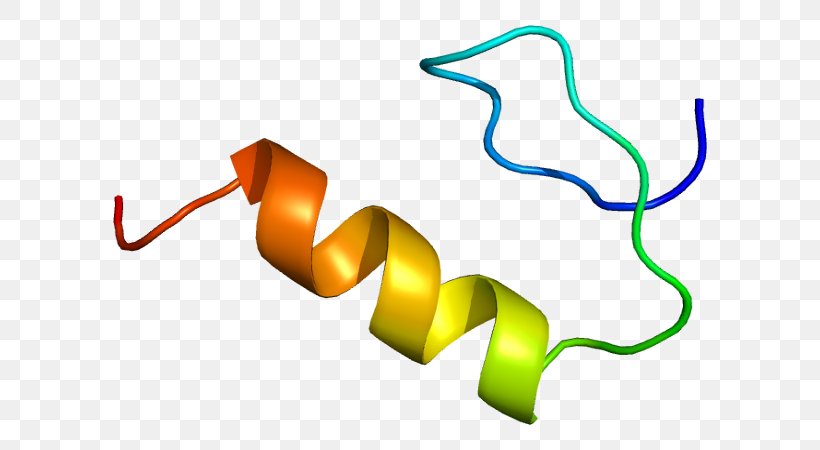 Sp1 Transcription Factor Protein Gene, PNG, 644x450px, Sp1 Transcription Factor, Biology, Dna, Gata Transcription Factor, Gene Download Free