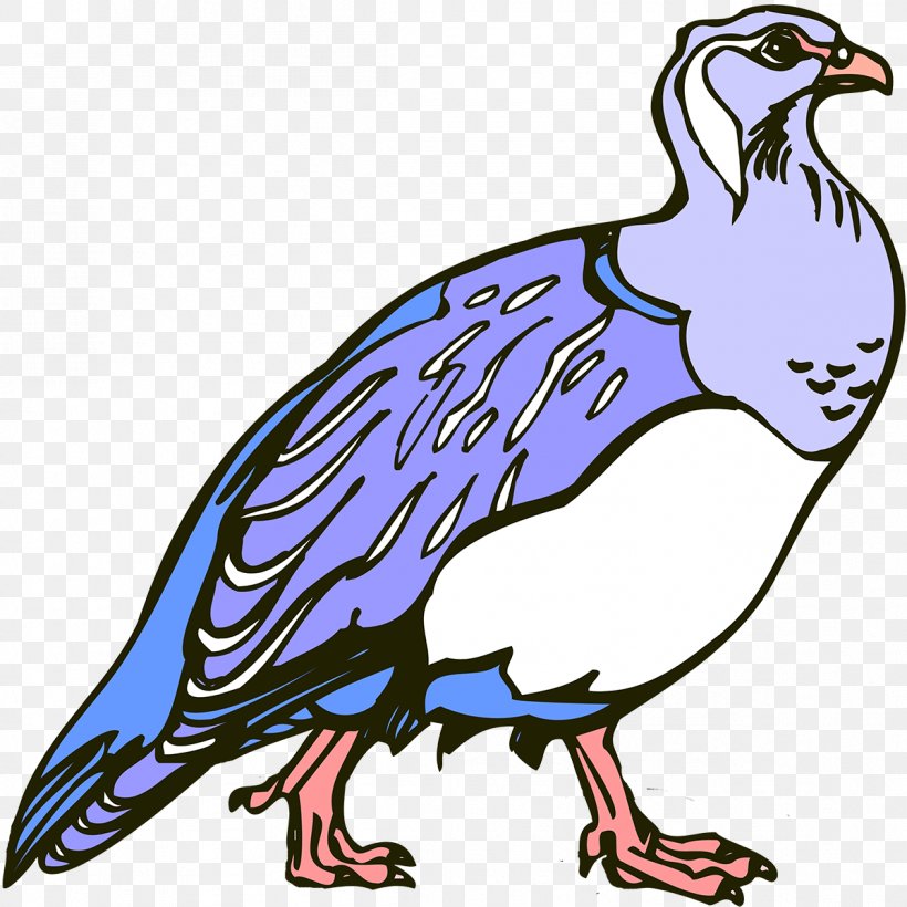 Beak Galliformes Line Art Vulture Clip Art, PNG, 1199x1200px, Beak, Animal, Animal Figure, Artwork, Bird Download Free