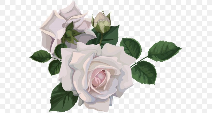 Garden Roses Paper Cabbage Rose Flower Floribunda, PNG, 600x436px, Garden Roses, Artificial Flower, Cabbage Rose, Cut Flowers, Floral Design Download Free