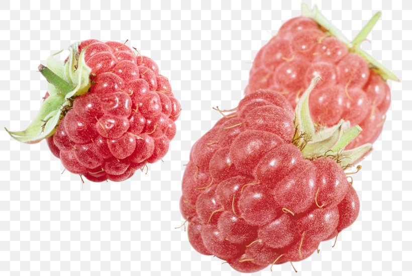 Raspberry Gummi Candy Fruit Amora, PNG, 803x550px, Raspberry, Amora, Berry, Boysenberry, Cranberry Download Free