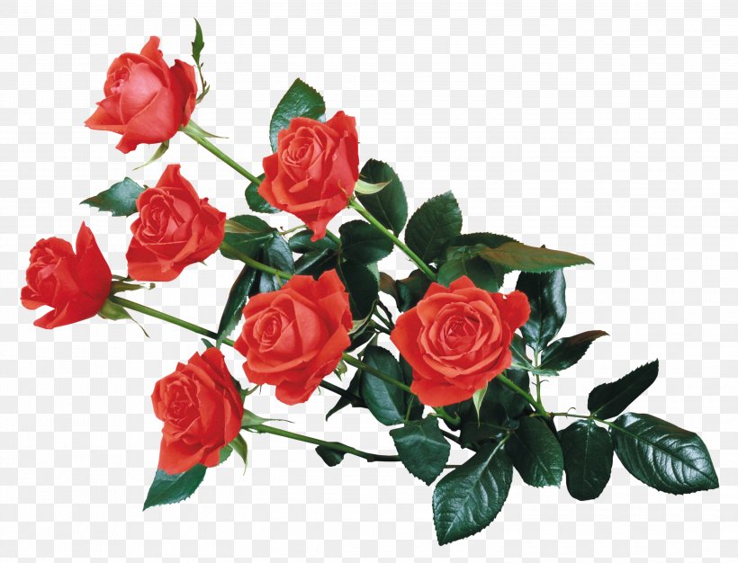 Rose Desktop Wallpaper Flower Clip Art, PNG, 3000x2292px, Rose, Artificial Flower, Black Rose, Cut Flowers, Display Resolution Download Free