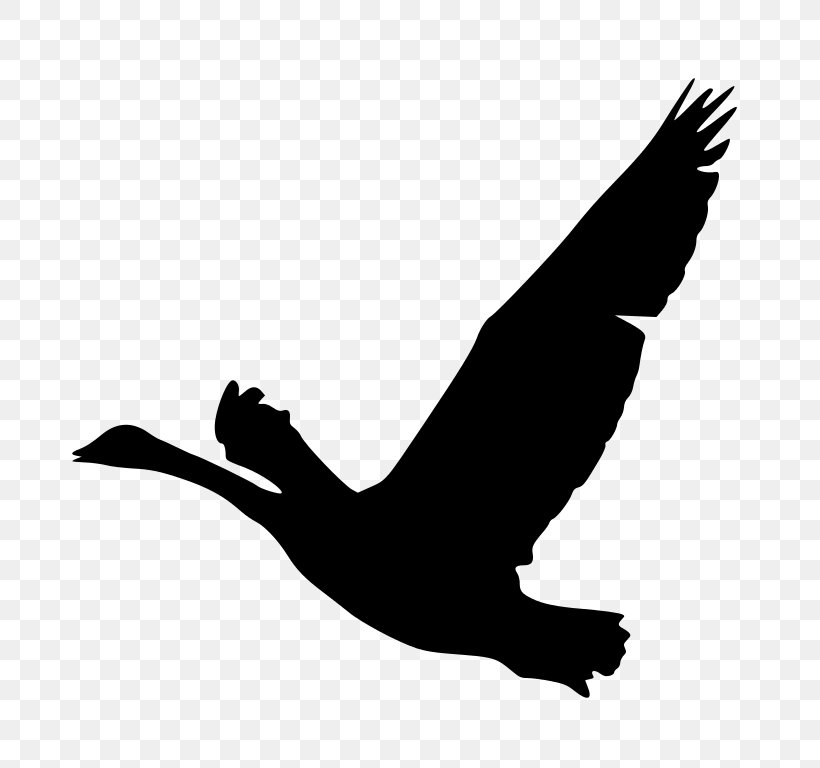 Goose Bird Duck Clip Art, PNG, 786x768px, Goose, Anatidae, Beak, Bird, Bird Of Prey Download Free