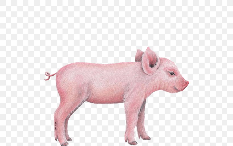 Miniature Pig Wall Decal Sticker Clip Art, PNG, 512x512px, Miniature Pig, Animal, Animal Figure, Breed, Decal Download Free