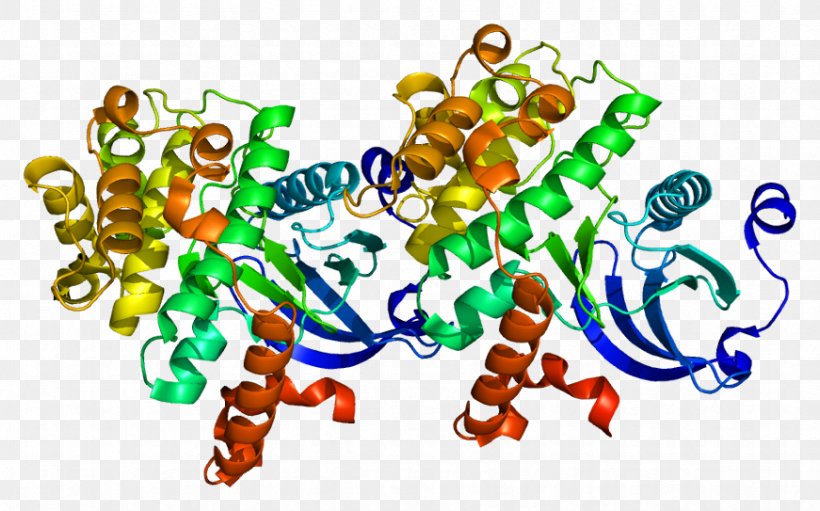 TAOK2 Protein Kinase Protein Kinase Gene, PNG, 871x543px, Watercolor, Cartoon, Flower, Frame, Heart Download Free