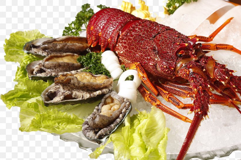 Lobster Seafood Palinurus Elephas Shrimp, PNG, 1024x683px, Lobster, Animal Source Foods, Cherax Quadricarinatus, Crayfish, Cuisine Download Free