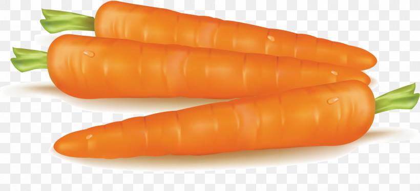 Orange, PNG, 1768x807px, Carrot, Baby Carrot, Food, Orange, Plant Download Free