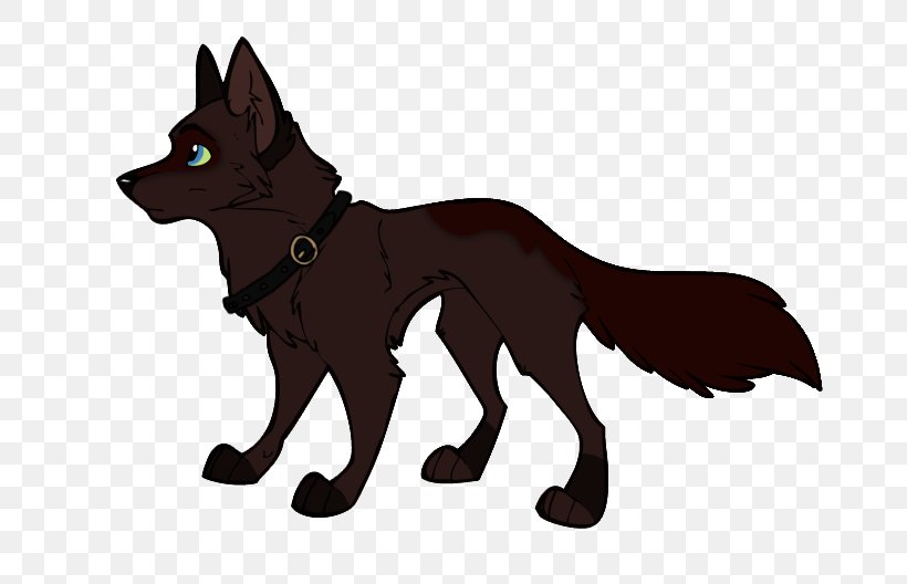 Schipperke Red Fox Big Bad Wolf Carnivora, PNG, 704x528px, Schipperke, Big Bad Wolf, Black, Carnivora, Carnivoran Download Free