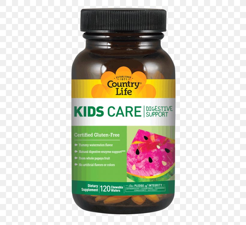 Dietary Supplement Digestive Enzyme Digestion Probiotic Child, PNG, 750x750px, Dietary Supplement, B Vitamins, Child, Digestion, Digestive Enzyme Download Free